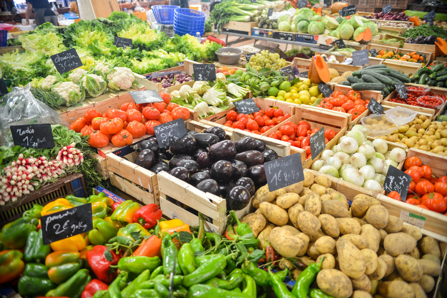 Assorted Vegetable Lot